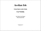 Aeolian Isle - One Piano Four Hands piano sheet music cover